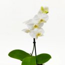 주식회사 은총 이미지