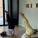 고운동_고운동(마음안로)2 이미지