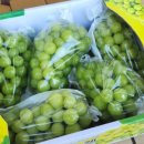 영재농장 이미지