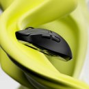 레이팜코리아 주식회사 이미지