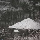 다산농원 이미지