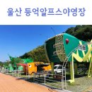 등억알프스야영장 | 울산캠핑장 등억알프스야영장 곤충카라반 사슴벌레 후기