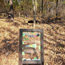 축령산휴양림 관리소 화장실 1F | [동탄2] 무봉산 자연휴양림 개장~ 예약 꿀팁/ 숲속의 집 8인 숙박 후기/ 겨울 숙박/ 다자녀할인(화성시...