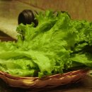 스마트팜 이미지