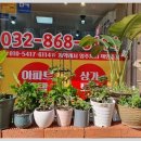 주안역 센트레빌 아파트 이미지