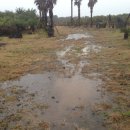 신평농장 이미지