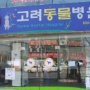 고려동물병원 이미지