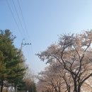 (주)유알지 이미지