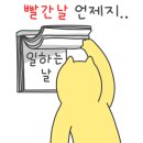 열매가 푸른 날