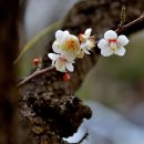 피지건설(주) 네이버블로그