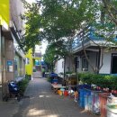 몽산포파인 이미지