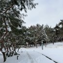 3046 | 호주어그 AS UGG AS3046 클리어부츠 245mm 39사이즈 내돈내산 후기