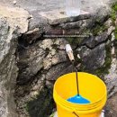 개운산계곡 옹달샘 이미지