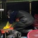 내고향다슬기 이미지