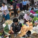 정선읍 공설운동장 이미지