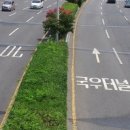 로드세이프 이미지