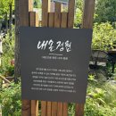 내손에꽃