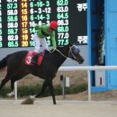 스퍼트 - 광주시 숯골길 99 | 스퍼트