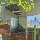 포항 아기랑 갈만한 곳, 두드림농장 솔직 방문후기 (동식물체험, 동물먹이 주기, 수박 체험)