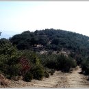 마산여자중학교 이미지