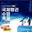 거제도국제펭귄수영축제 이미지