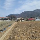 심원초등학교병설유치원 이미지