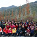 습지경로당 이미지