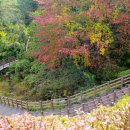 장수군(환경위생과) 이미지