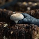 석민농장 이미지