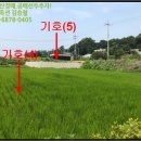 여주-1077 네이버블로그