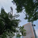 명동할머니국수 청계광장점