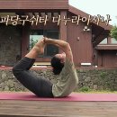 비비드요가&웰니스스튜디오