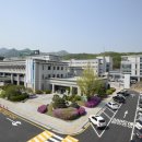 장미대교 교통섬 이미지