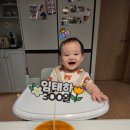 샤파리공방 네이버블로그