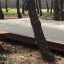 고래불국민야영장 이미지