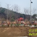 신성대학 부설유치원 이미지