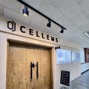 MBC 건강트레이닝센타 | 안산탈모와 두피스케일링 한 번에, 셀램 두피탈모센터 안산점 후기