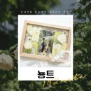 압화 투명액자 나의 소원은 | 베프 결혼식 부케 선물 [압화액자] 후기-뇽트