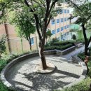 동부초교 이미지