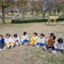 숲앤아이어린이집 이미지