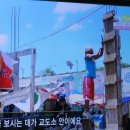 팔마 이미지