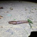 동그라미캠핑장 이미지