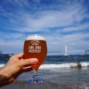 푸시캣 네이버블로그