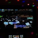 타잔소주호프 이미지