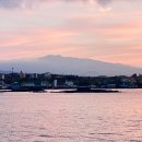 노을수산 이미지