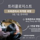K 헤어 모드