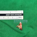 유의미외과의원 이미지