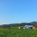 삼남매농수산물