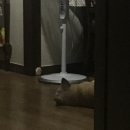 열.