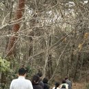 들꽃이 있는 바다 이미지